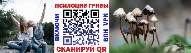 купить  цена  Апшеронск  Галлюциногенные грибы Magic Shrooms 