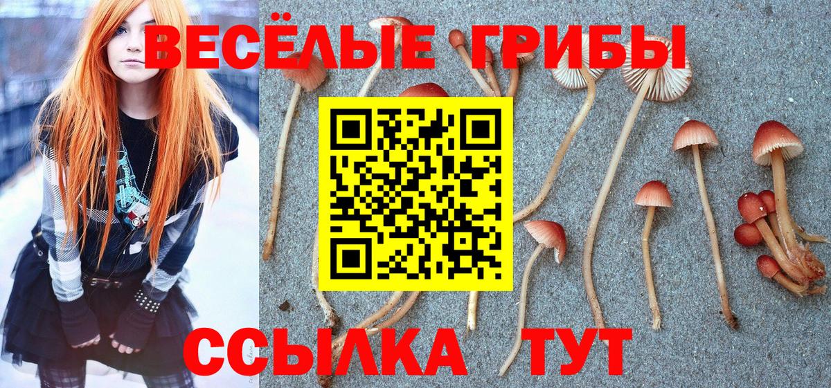 Галлюциногенные грибы мухоморы Апшеронск